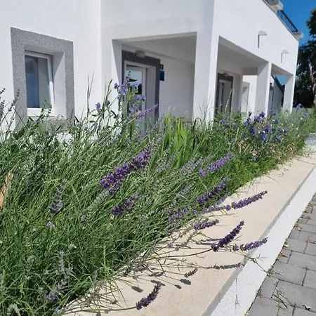 Olana Zadar