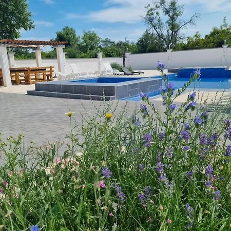 Olana Zadar